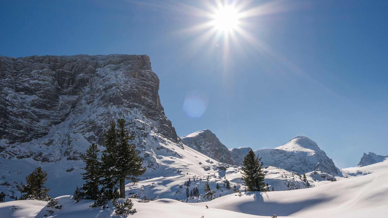 Skiweg Nr. 650 in Richtung Gjaid-Alm