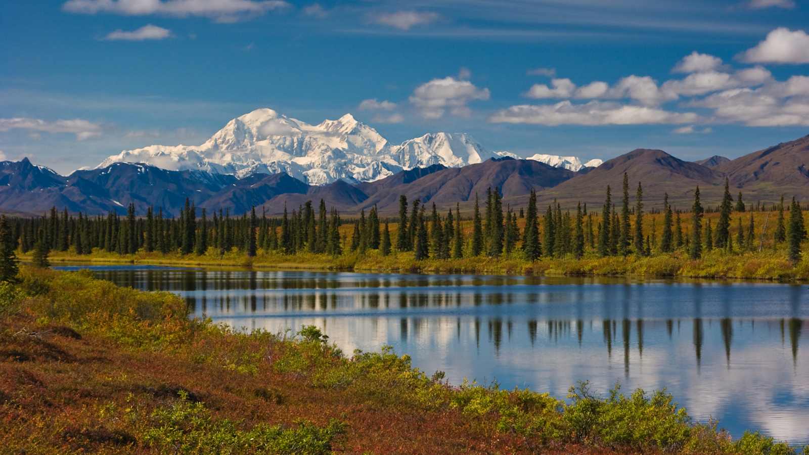 Denali in Nordamerika