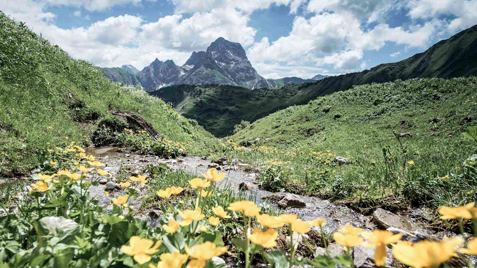 Die artenreiche Natur des Derratales am Fuße des Widderstein sollte man ganz bewusst erleben.