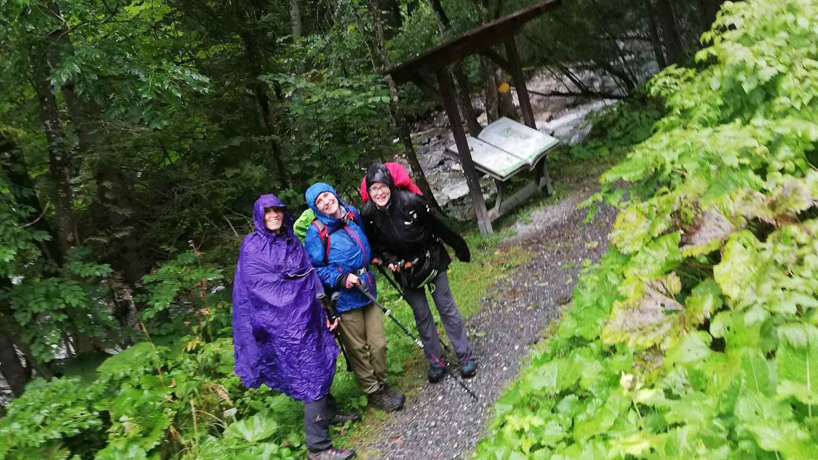 Wanderer bei der Alpen Tour