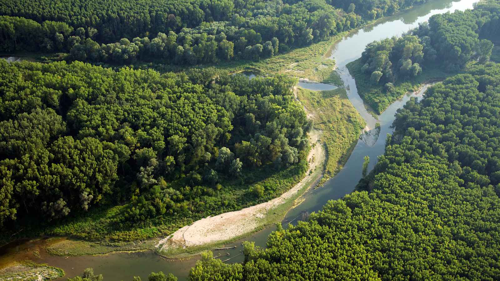 Nationalpark Donau-Auen