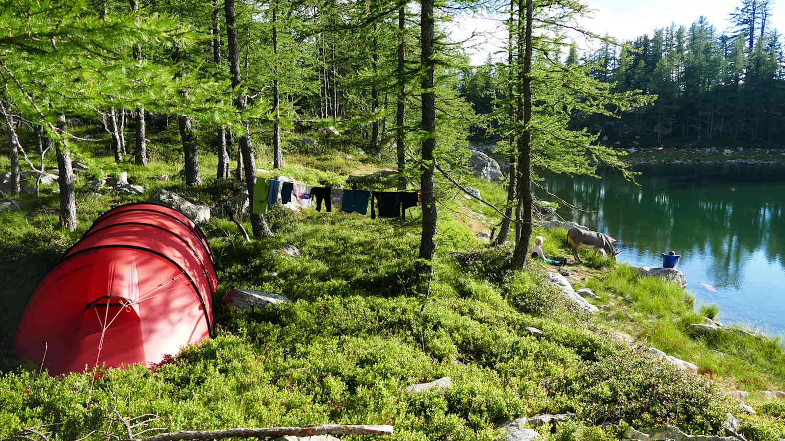 Mit dem Esel durch die französischen Alpen