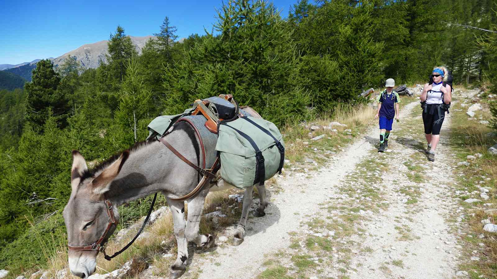 Mit dem Esel durch die französischen Alpen