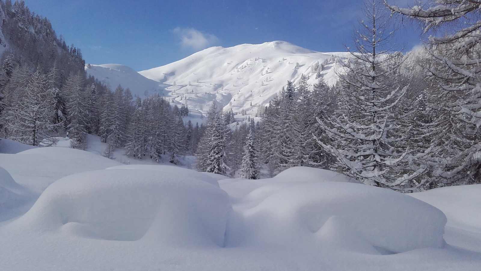 Vor allem in schneereichen und kalten Wintern braucht das Wild viel Ruhe. Daher bitte unbedingt an die vorgegebenen Routen halten!