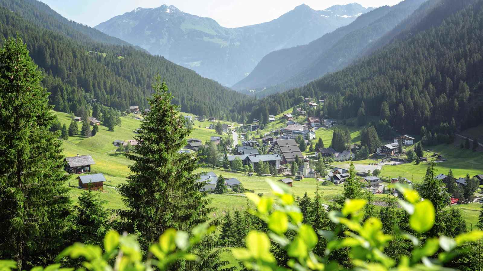 Der Wald rund um Gargellen lädt zum „Waldbaden“ ein.
