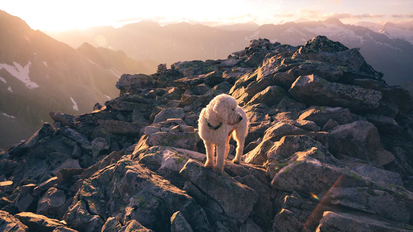 Climbersforfuture am Gipfel des Großvenediger