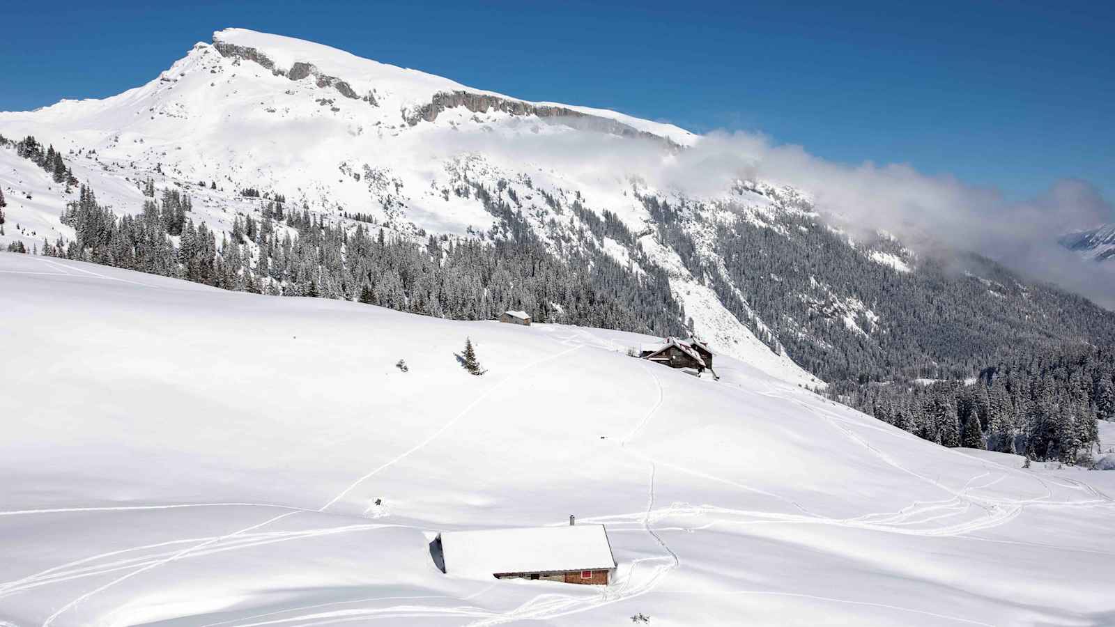 Der mächtige Ifen dominiert das Schwarzwassertal.