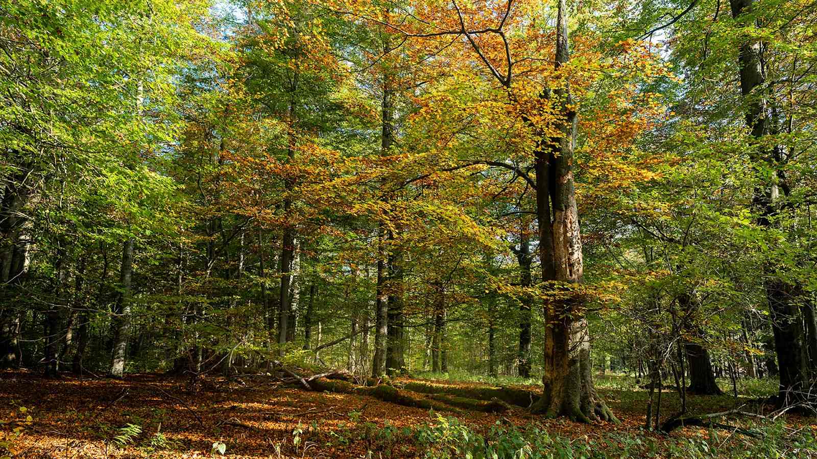 Entdecke die Natur auf erlebnisreichen Touren. 