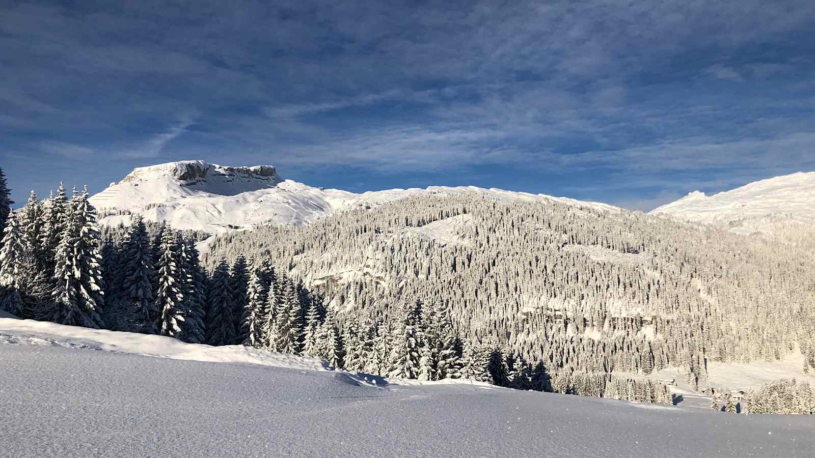 Heubergarena im Kleinwalsertal