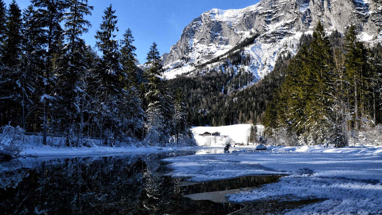 Der Zauberwald beim Hintersee im Winter