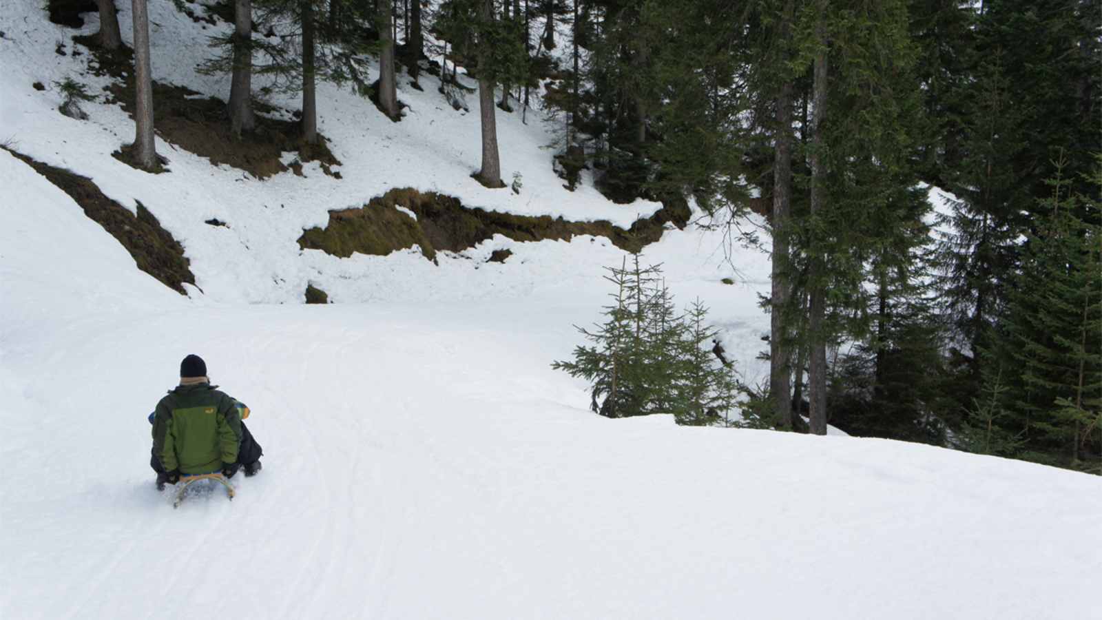 Hirscheckblitz Rodeln