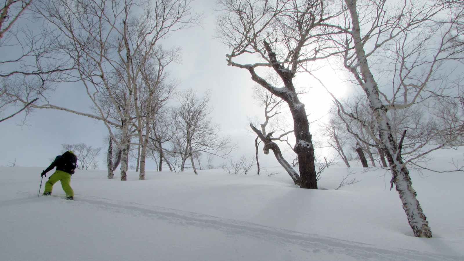 Pulver ohne Ende auf Hokkaido