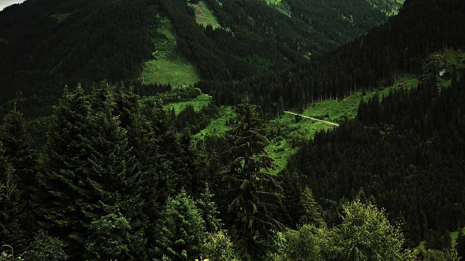 Aussicht von der Lengau Alm in Hinterglemm