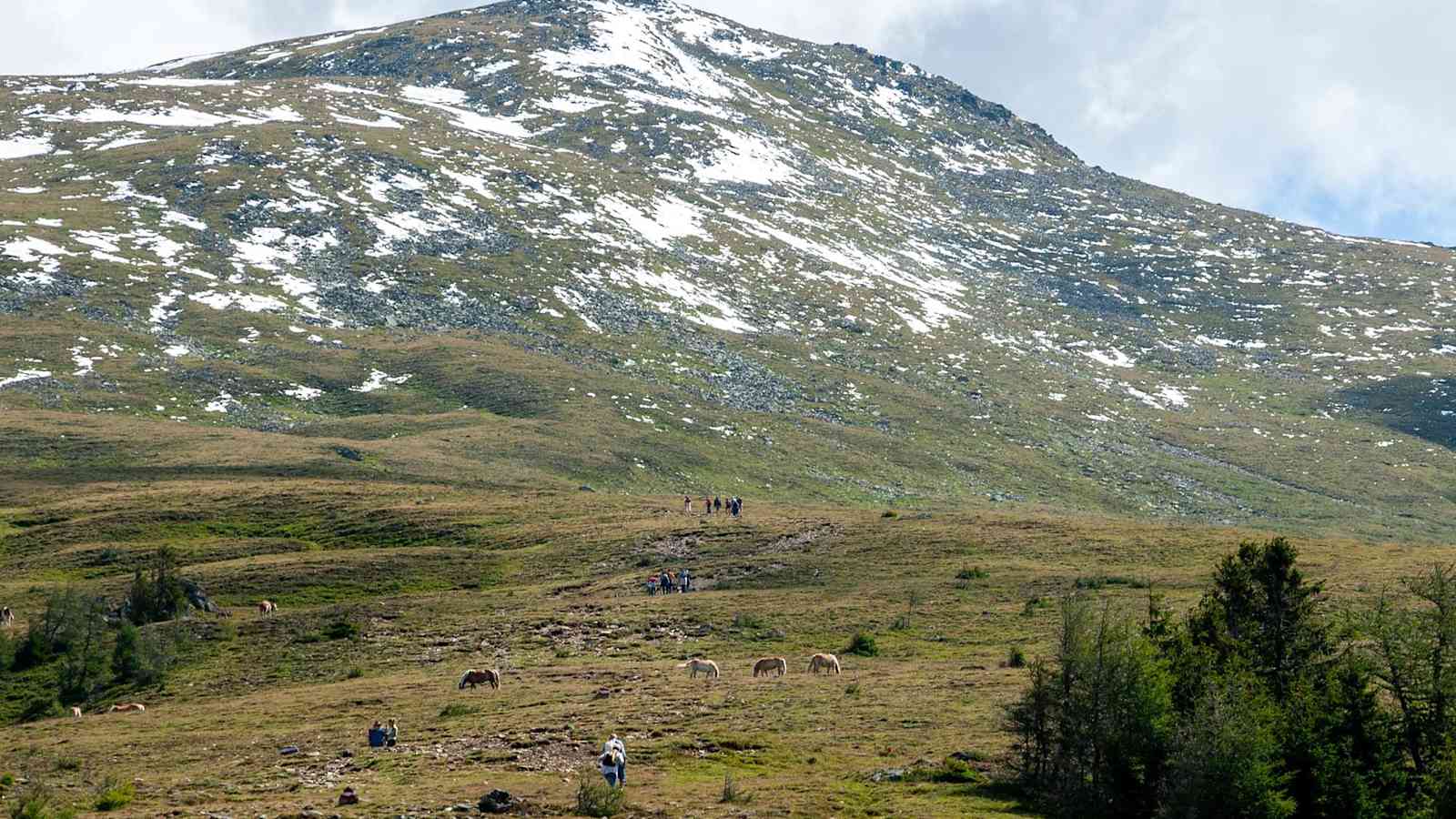 Die Grasberge im Murtal