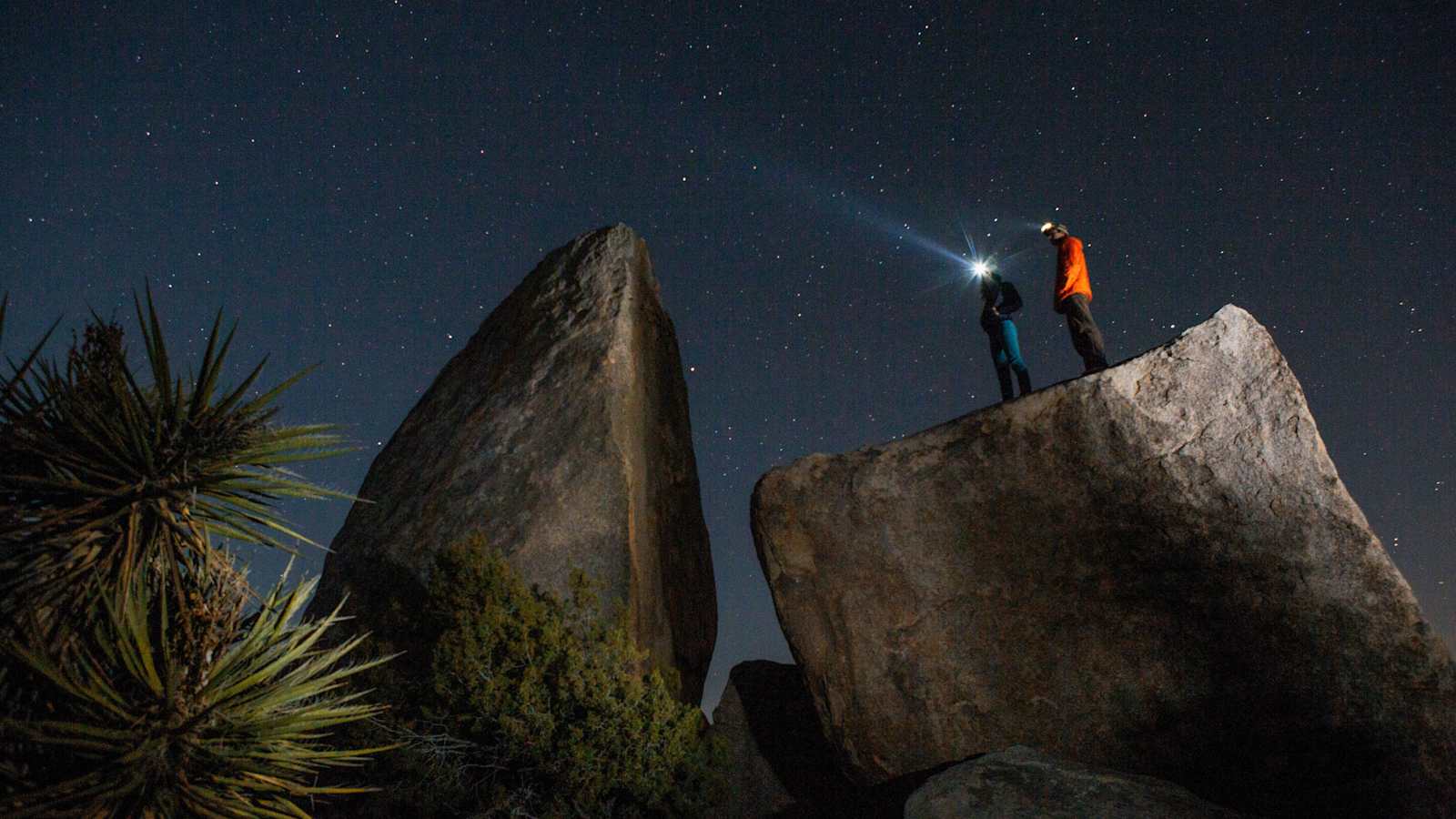 Der Sternenhimmel über der Wüste im Joshua Tree Nationalpark                    