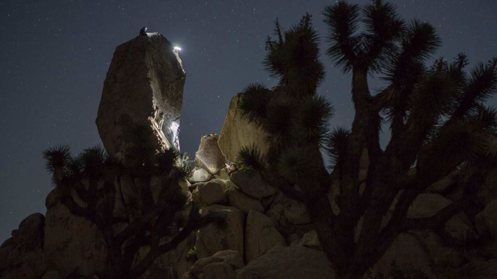 Der Sternenhimmel über der Wüste im Joshua Tree Nationalpark