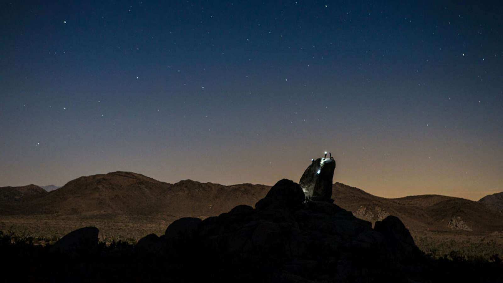 Der Sternenhimmel über der Wüste im Joshua Tree Nationalpark