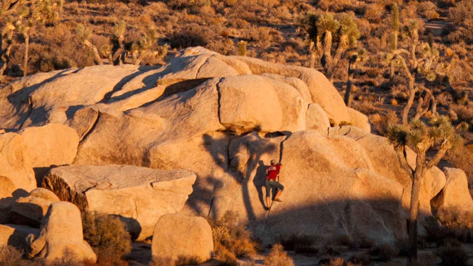 Bouldern Joshua Tree