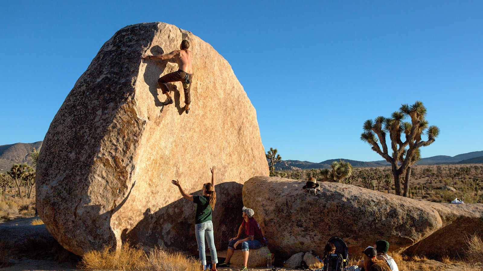 Classic Curl Joshua Tree