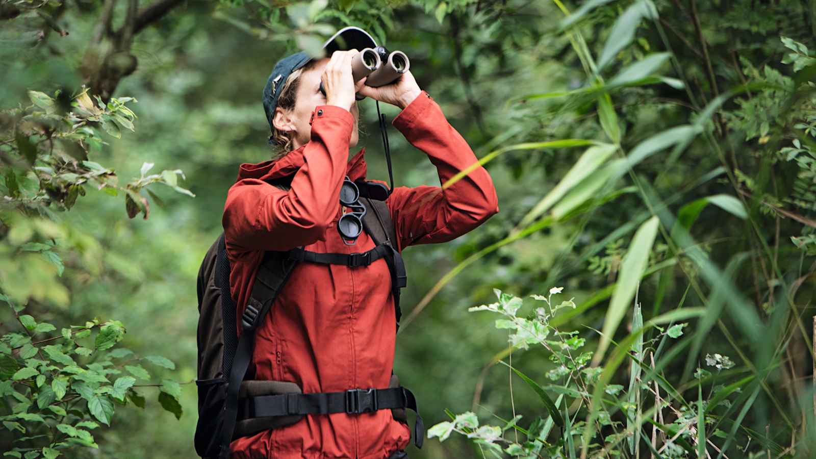 Das Fernglas als wertvoller Begleiter auf einer Wanderung im Wald.