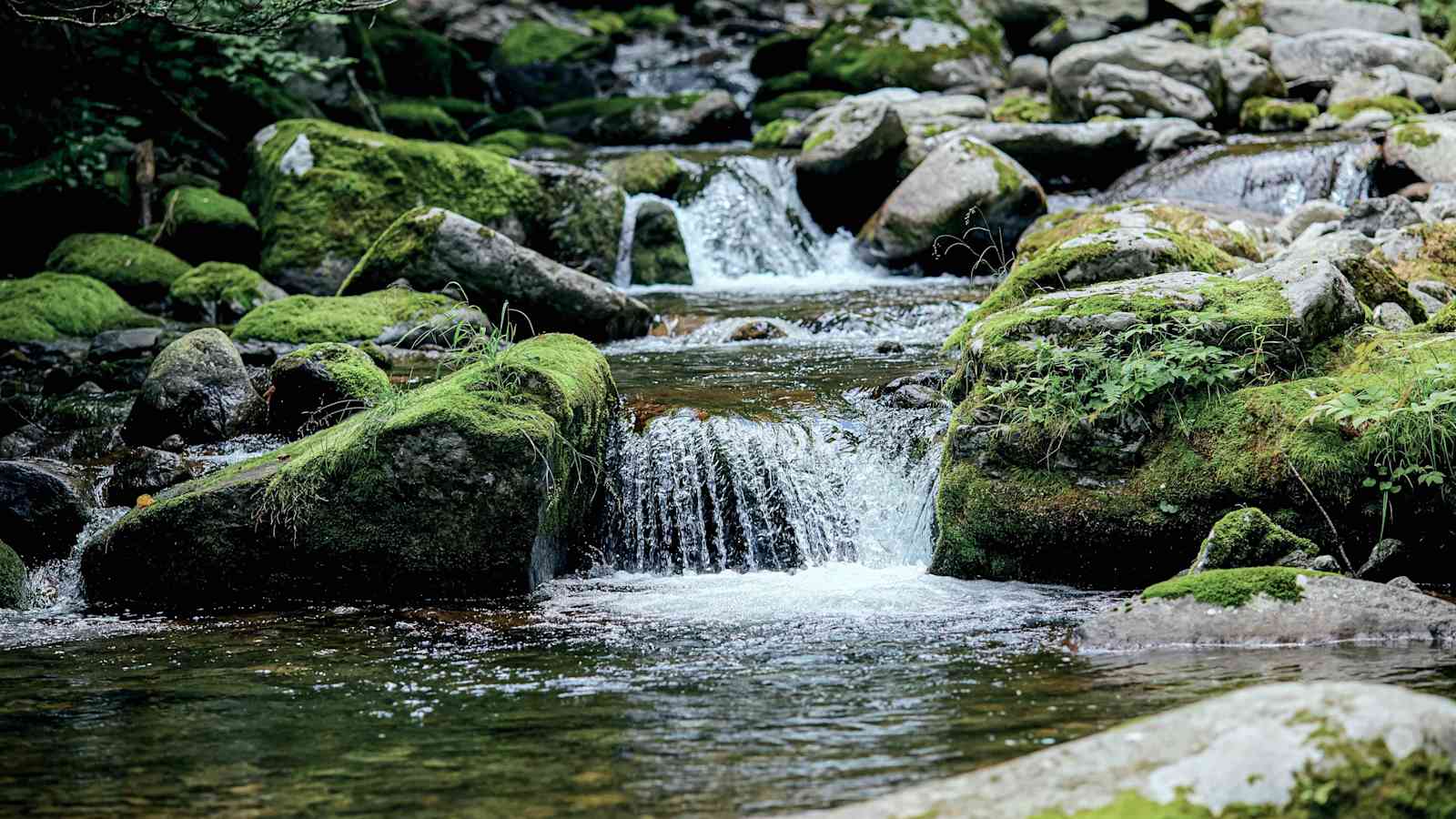 Eine Klammwanderung ist besonders an warmen Sommertagen herrlich erfrischend. 