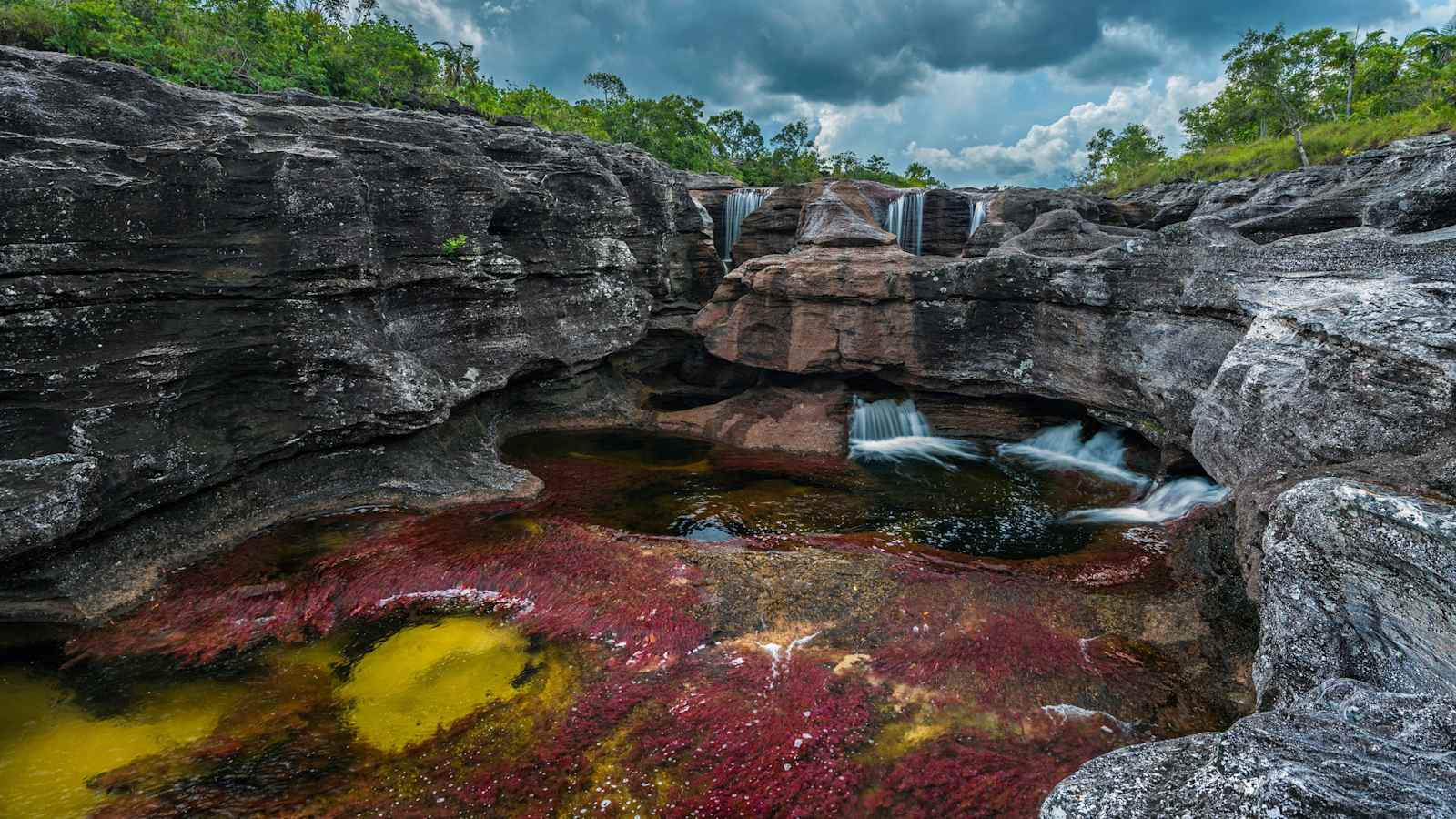 Serranía de la Macarena-Nationalpark in Kolumbien