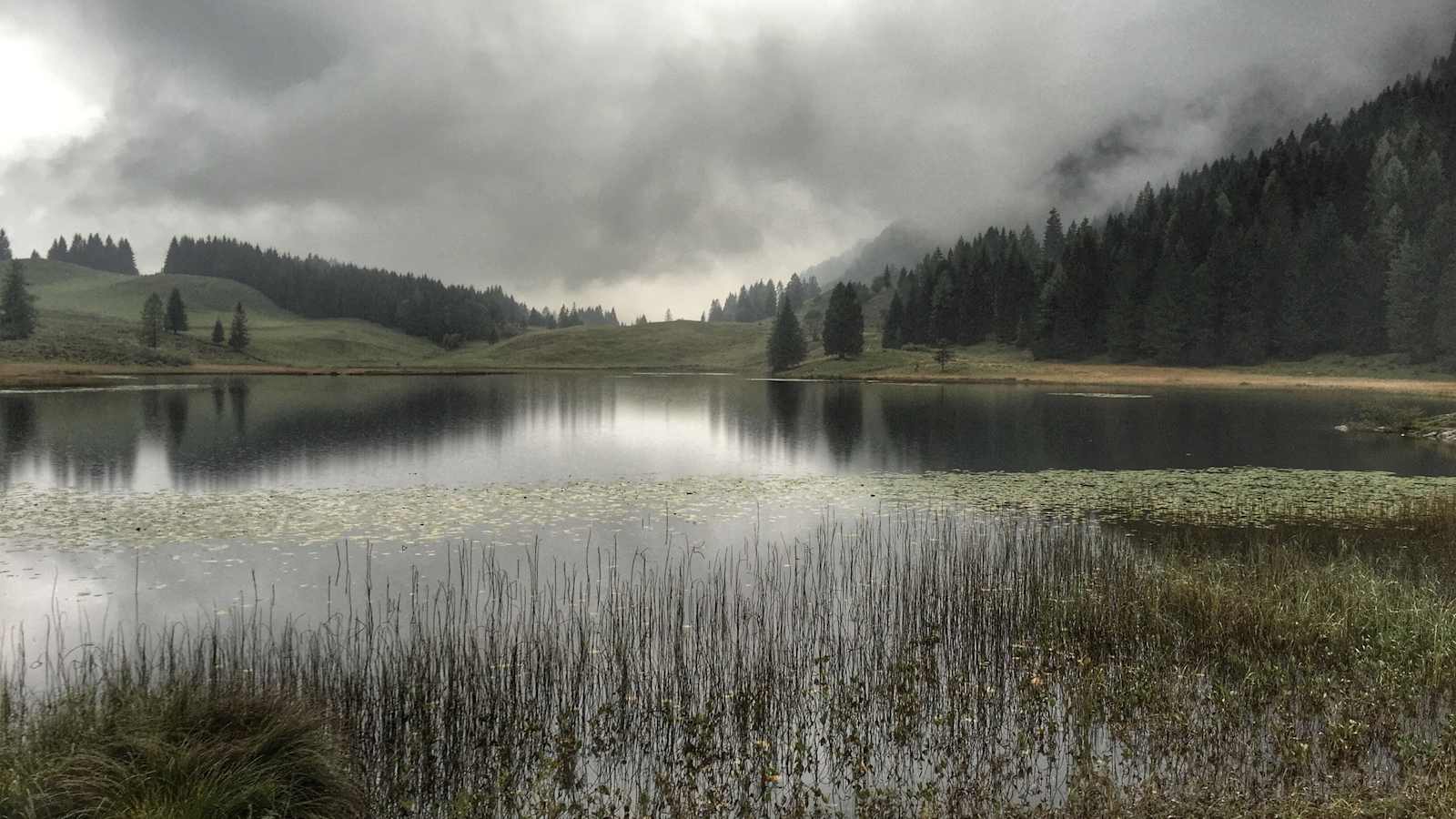 Ein Hauch von Magie am Salzburger Seewaldsee