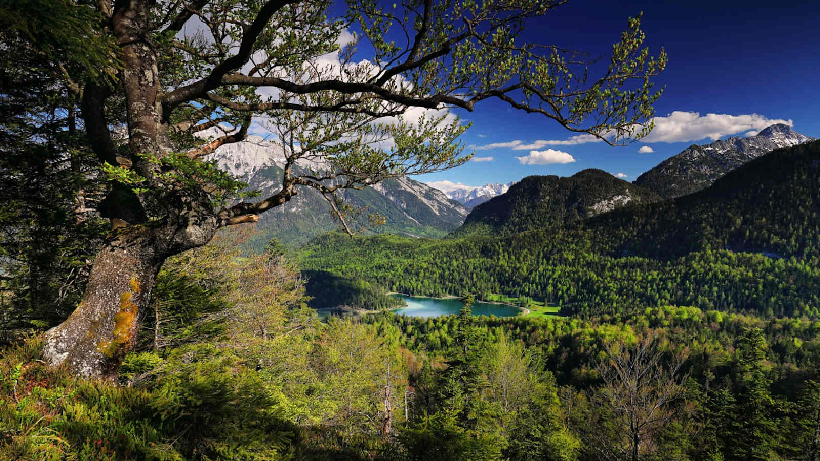 Blick vom Kranzberg auf den Lautersee