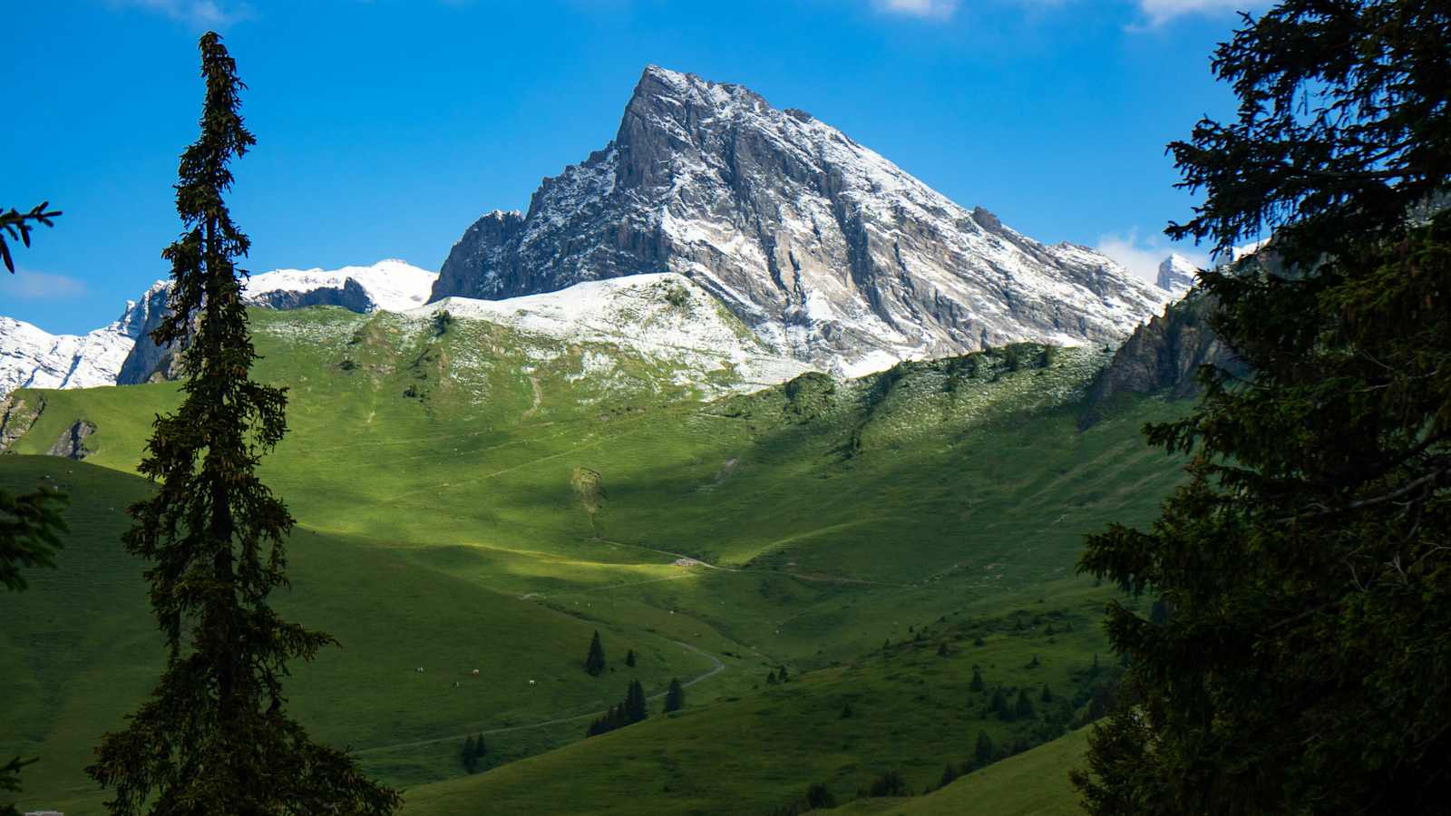 Vordere Grauspitze in Liechtenstein