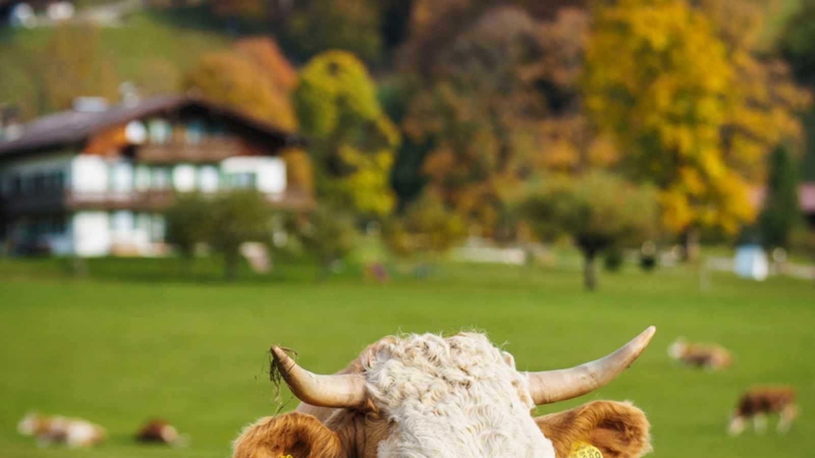 Nationalpark Berchtesgaden