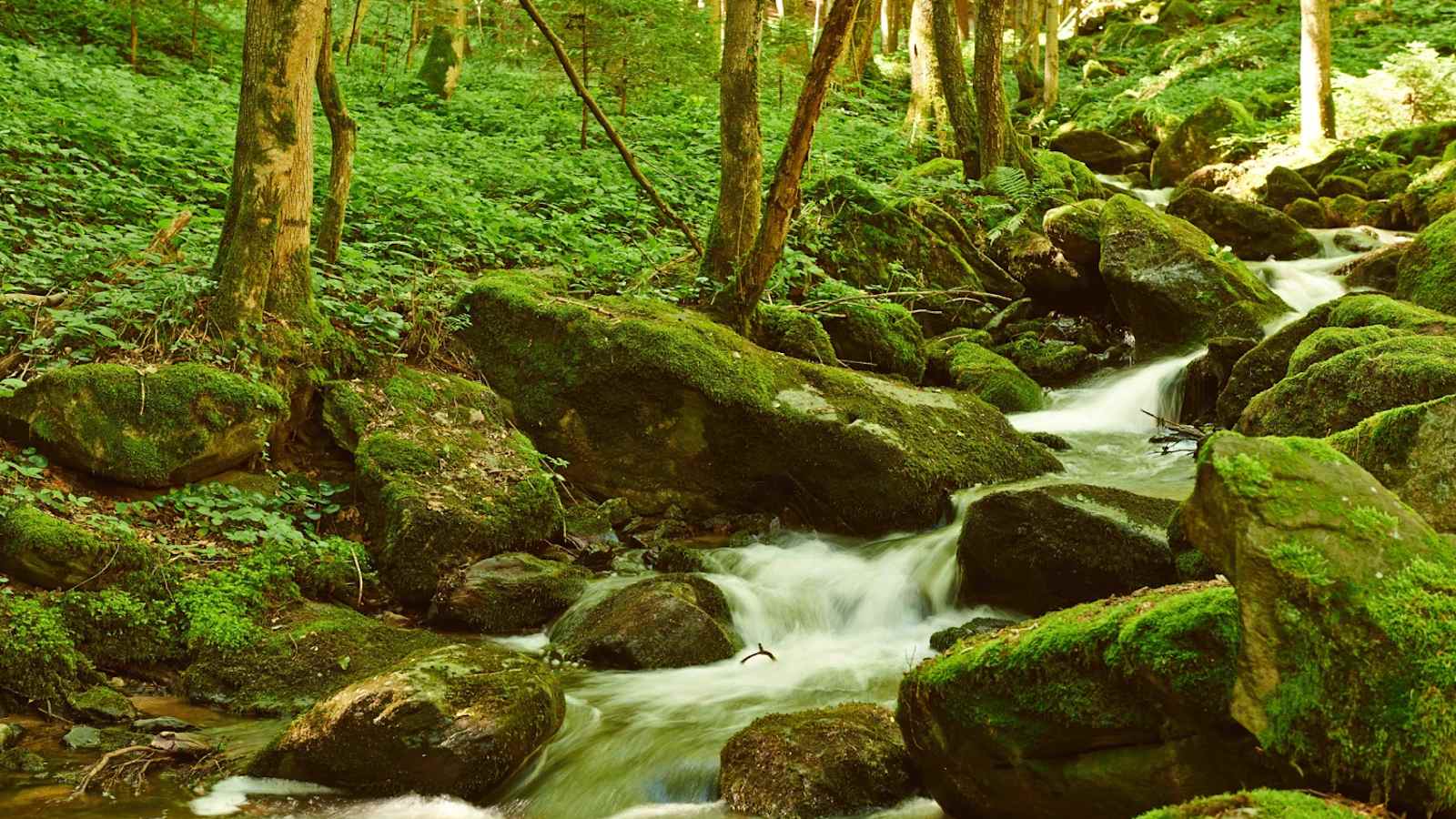 Angenehm kühl und romantisch - die Steinbachklamm