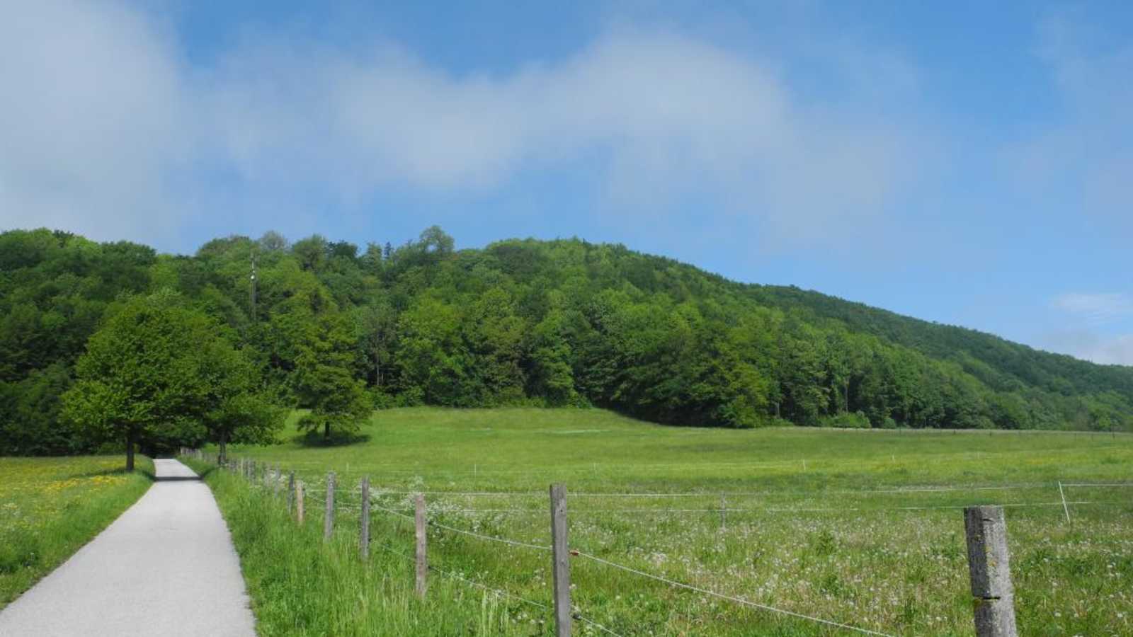 Aussicht vom Peilstein