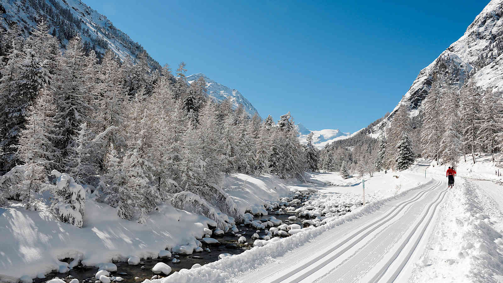 Langlaufen in Pontresina