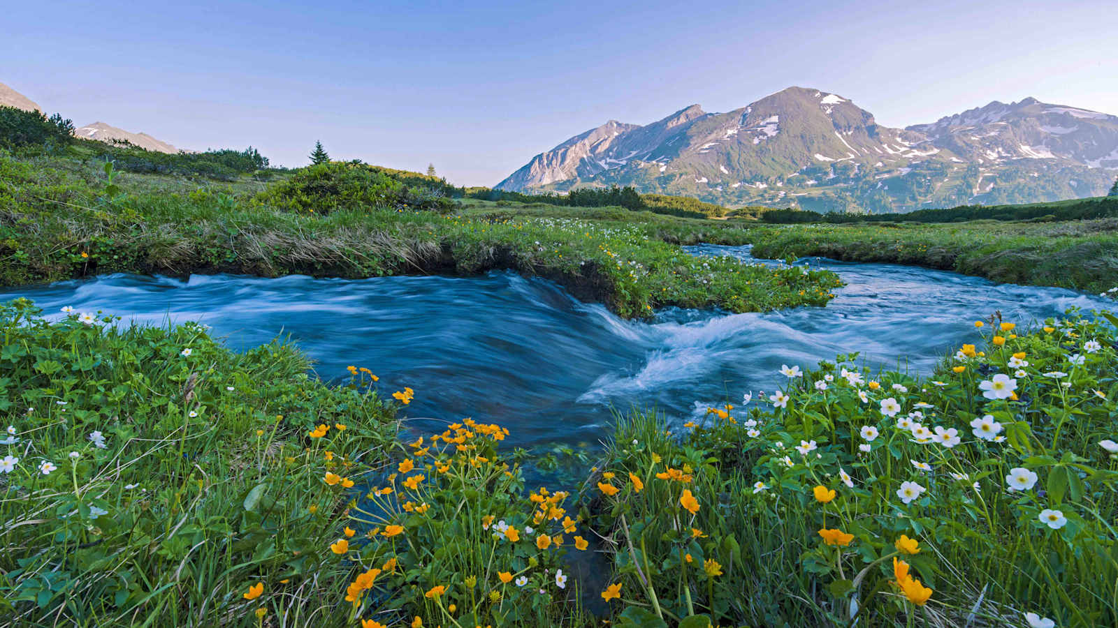 Intakt Ökosysteme wie das Hundsfeldmoor in Salzburgs binden Treibhausgase und wirken daher klimaregulierend.