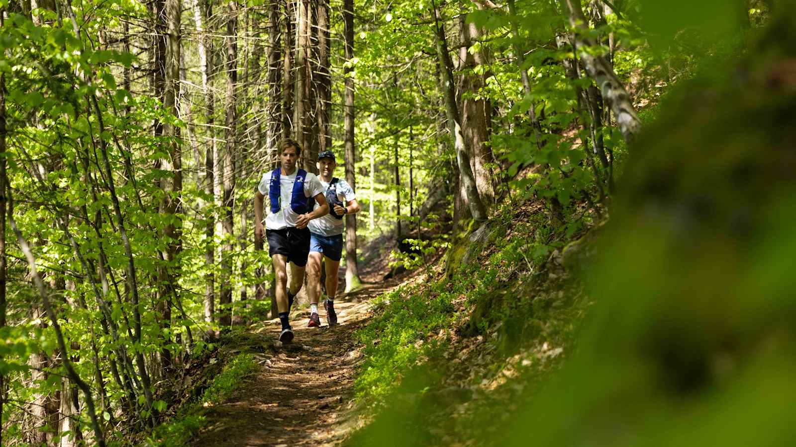 Über schmale Trails geht es durch den Wald der Burg Marsbach