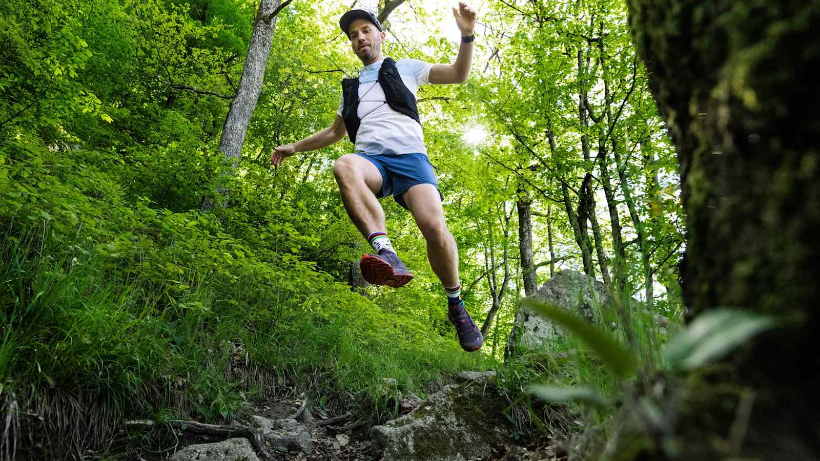 Am Donausteig finden Trailrunner:innen aller Könnensstufen ihr wahres Vergnügen