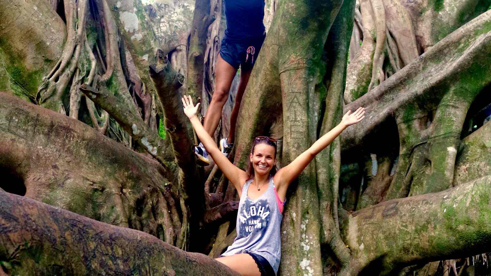 Banyan Tree auf dem Pipiwai Trail