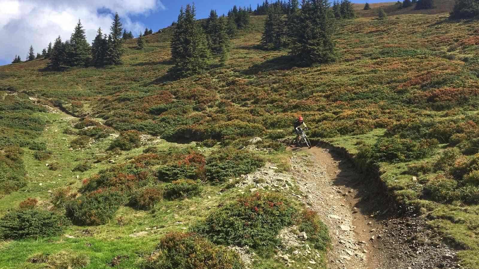 Herbststimmung am Hackelberg Trail