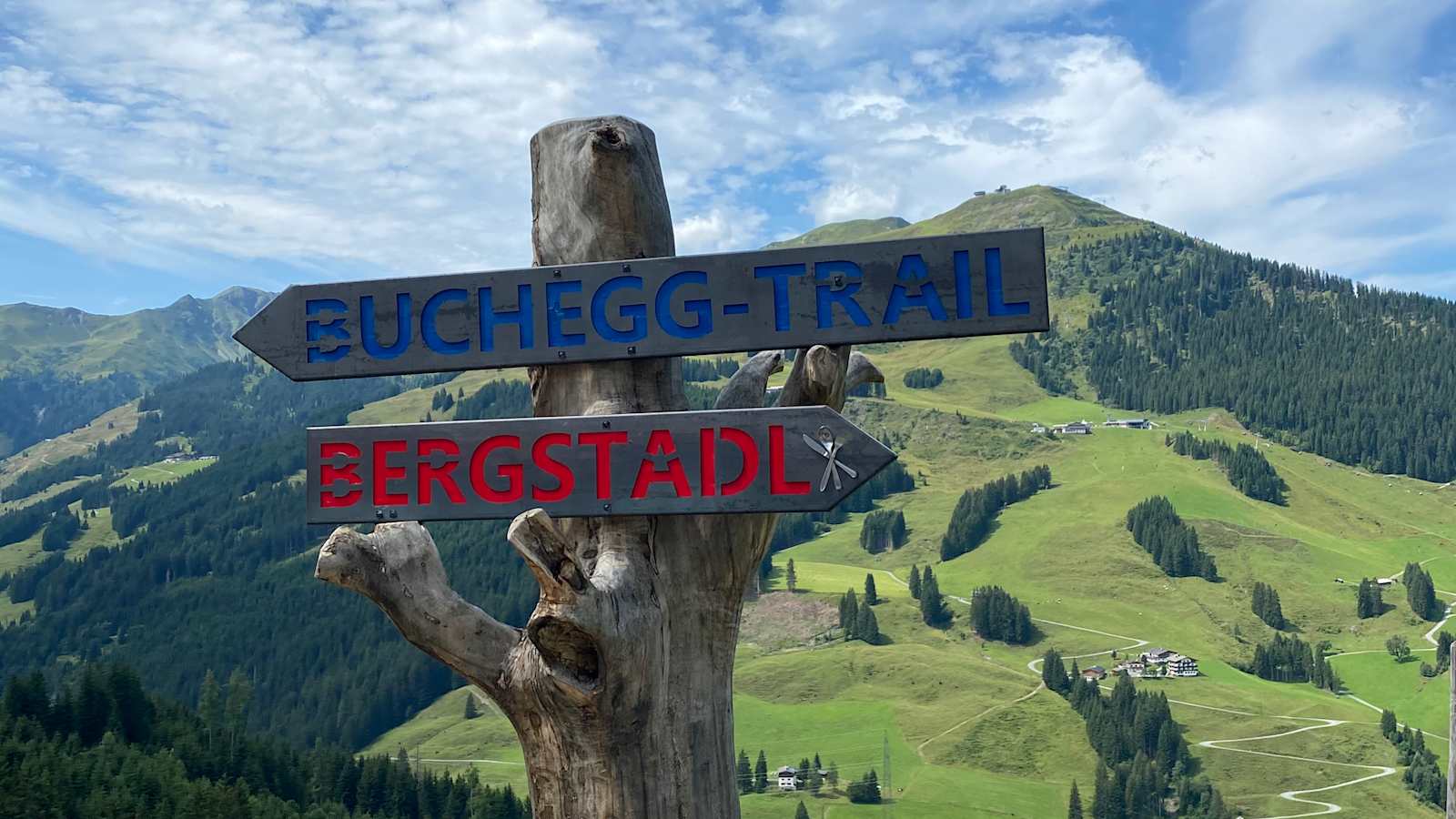 Abzweigung am Hacklberg-Trail