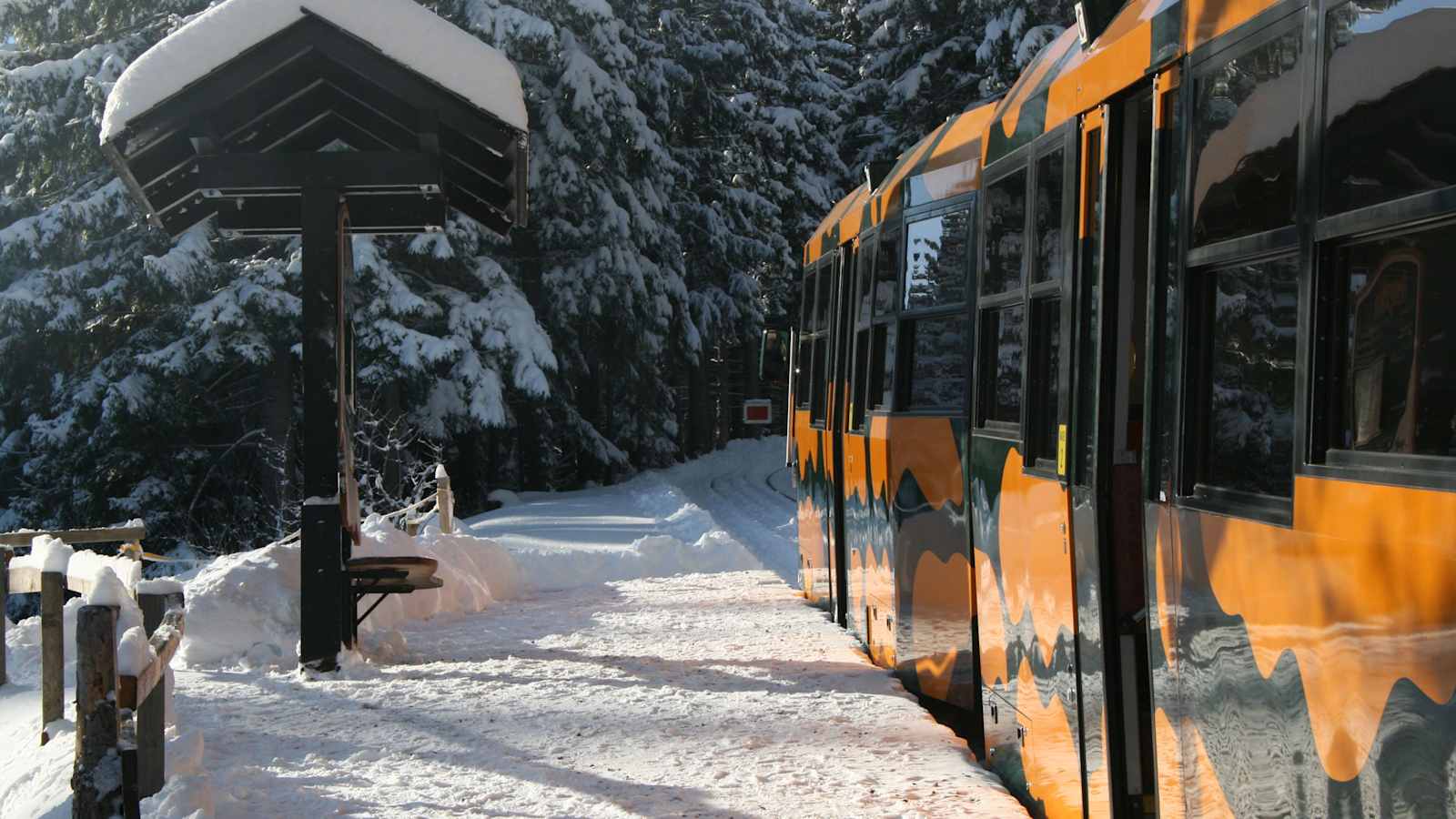 Die Schneebergbahn