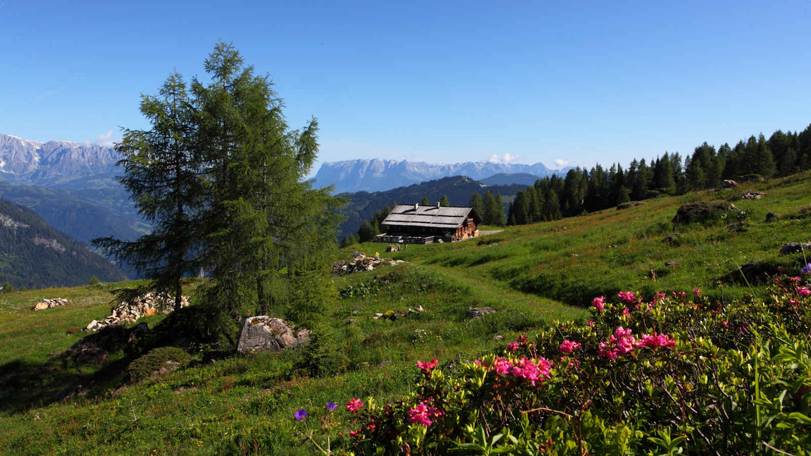 Die Saukaralm im Großarltal