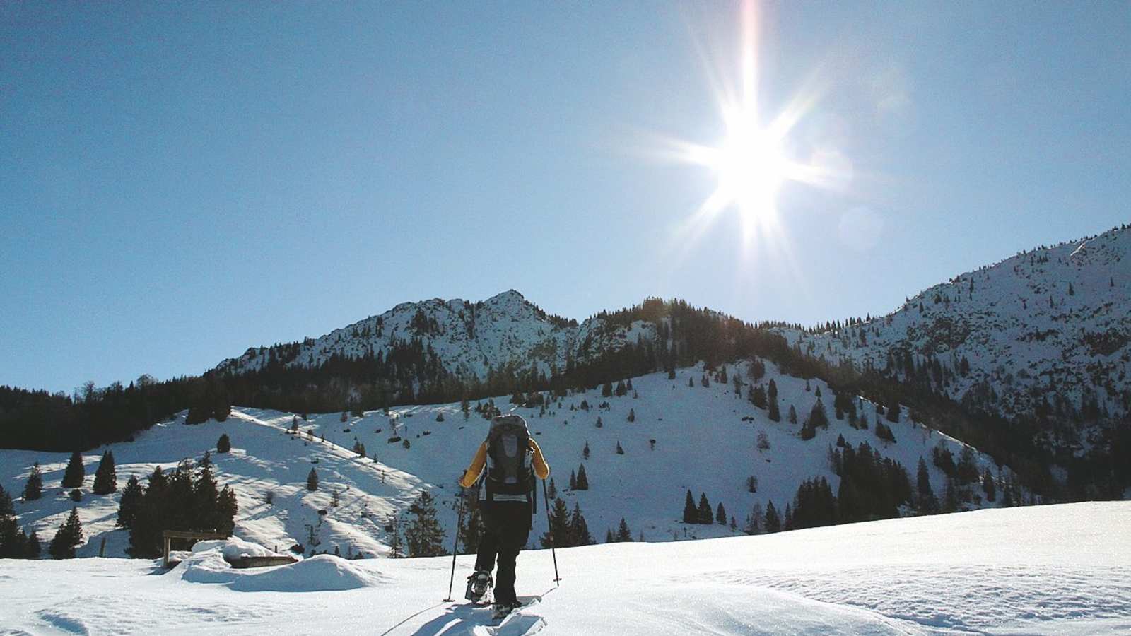 Auf der weiten Hochfläche der Königsalm mit Blick zum Schildenstein.