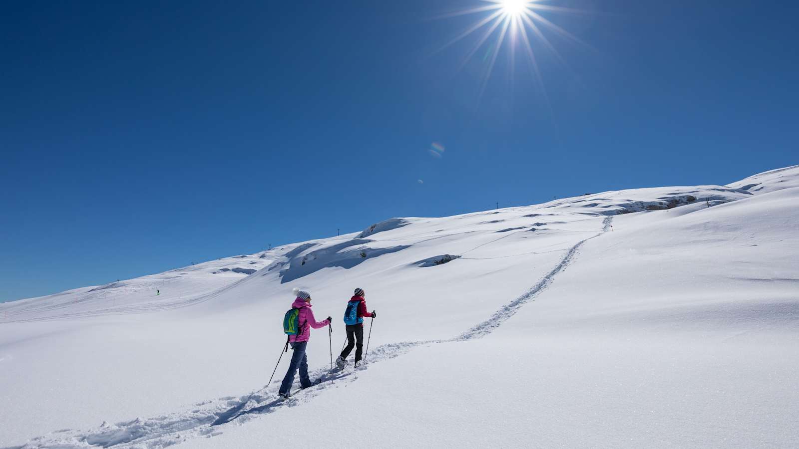 Schneeschuhwandern am Pizol