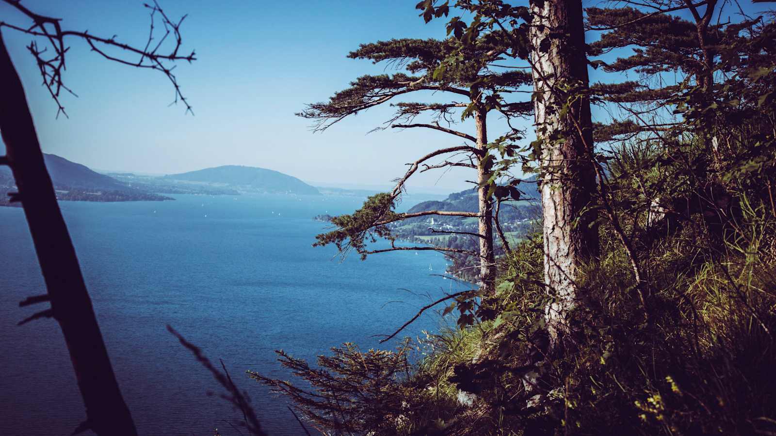 Nach dem ersten Anstieg auf den Schoberstein, der erste schöne Ausblick auf den Attersee