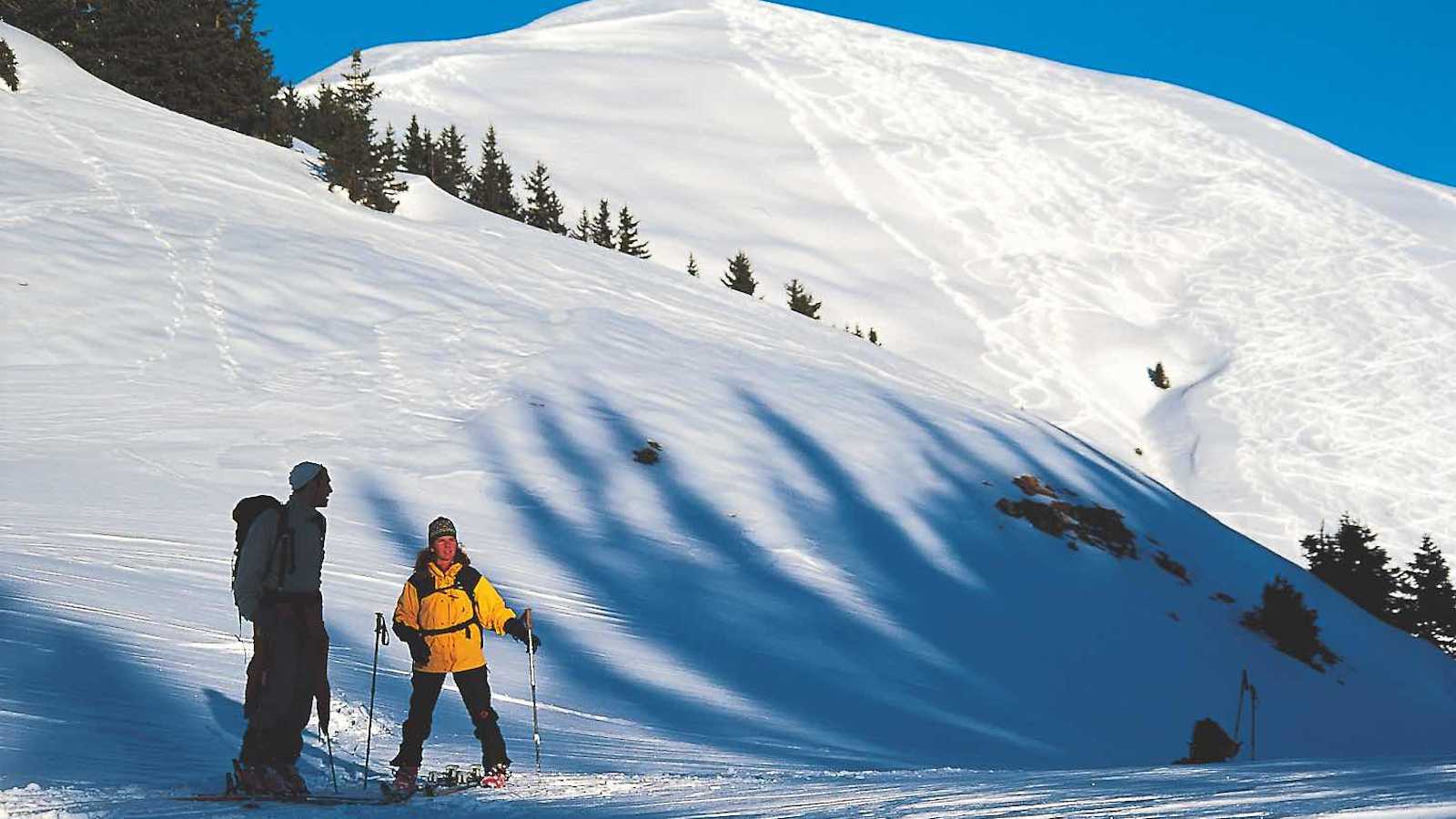 Bei Pulver und Firn fantastisch – der südwestseitige Gipfelhang am Schönalmjoch.