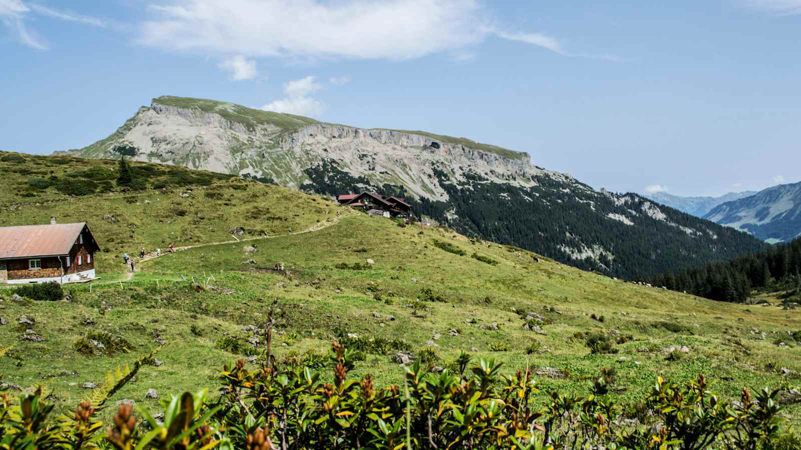 Blick zur Schwarzwasserhütte und dem Hohen Ifen