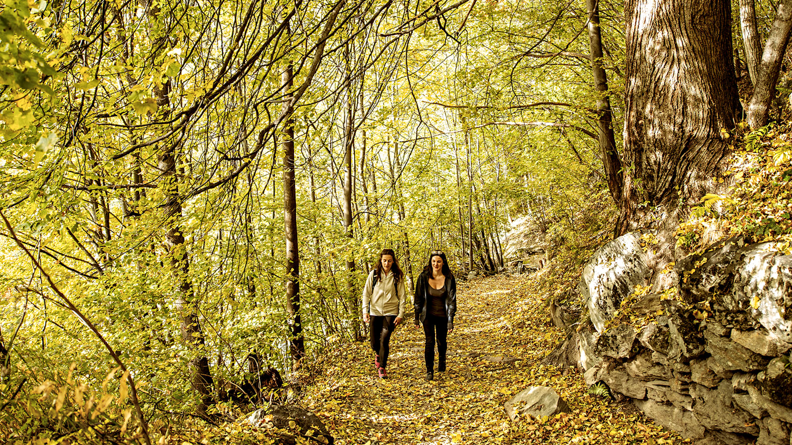 Der Herbst zeigt sich im Bergell besonders mystisch - und bunt.