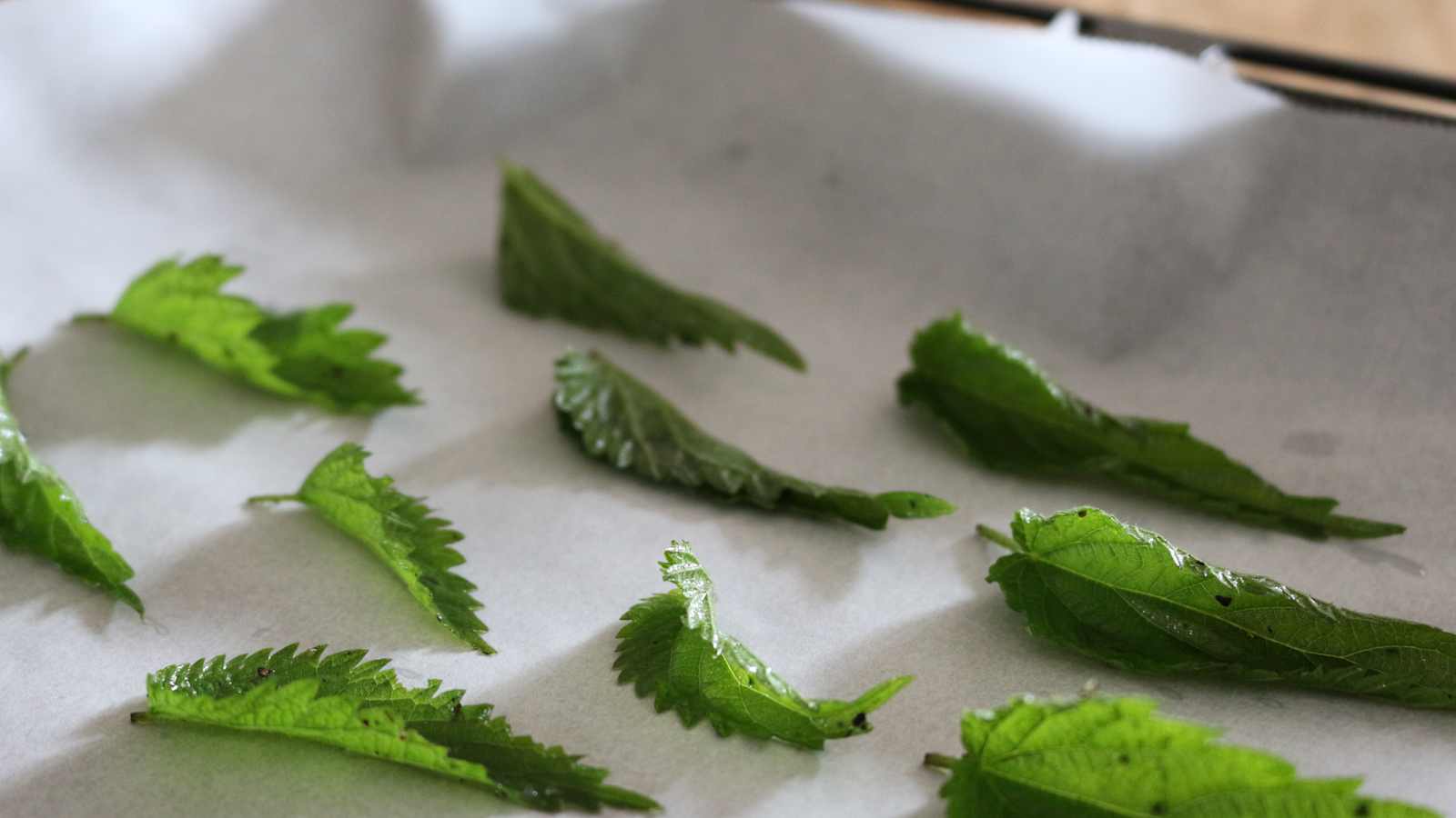 Selbstgemachte Brennnessel-Chips