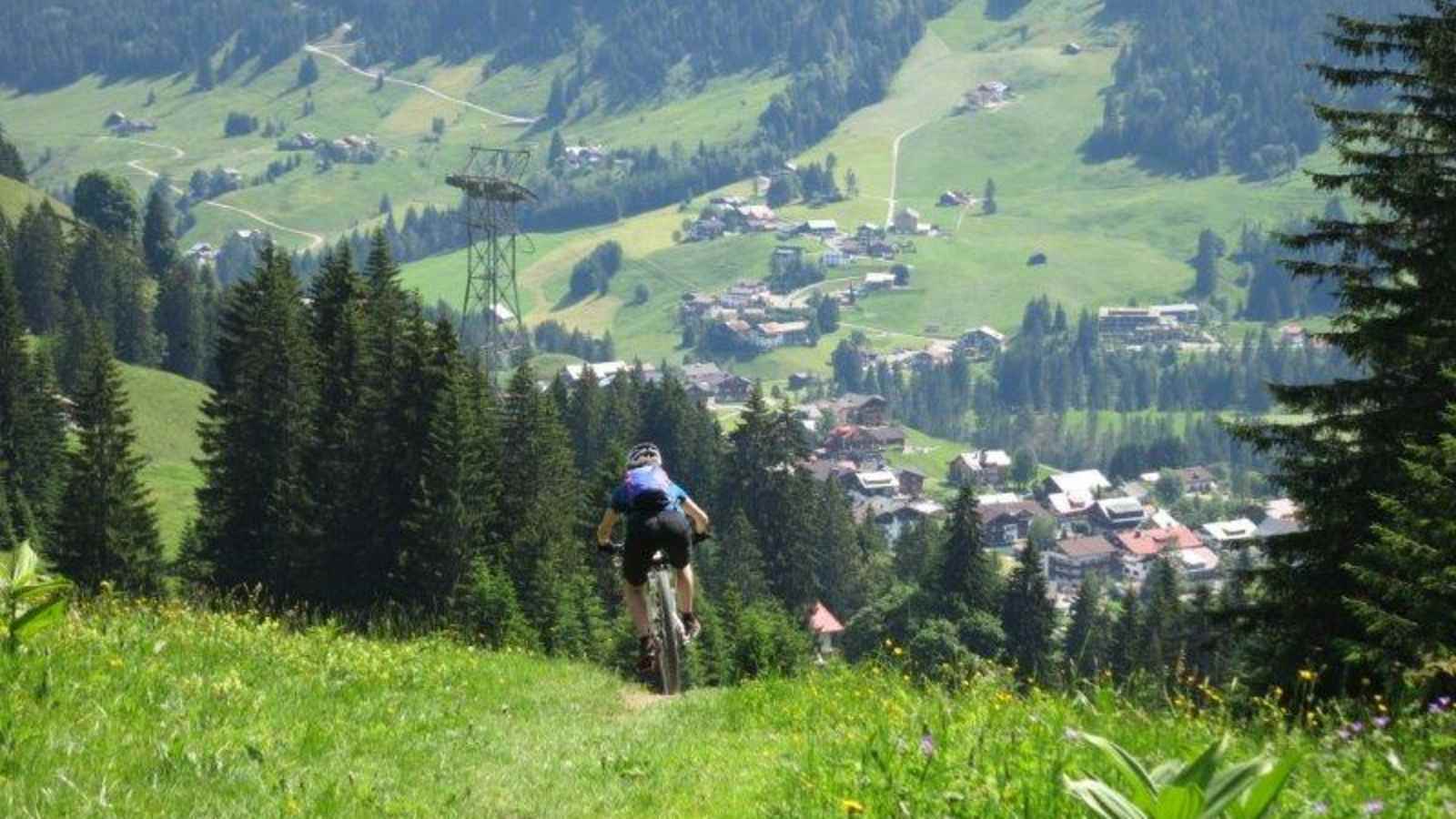 Mountainbike Trail Wiese Wald