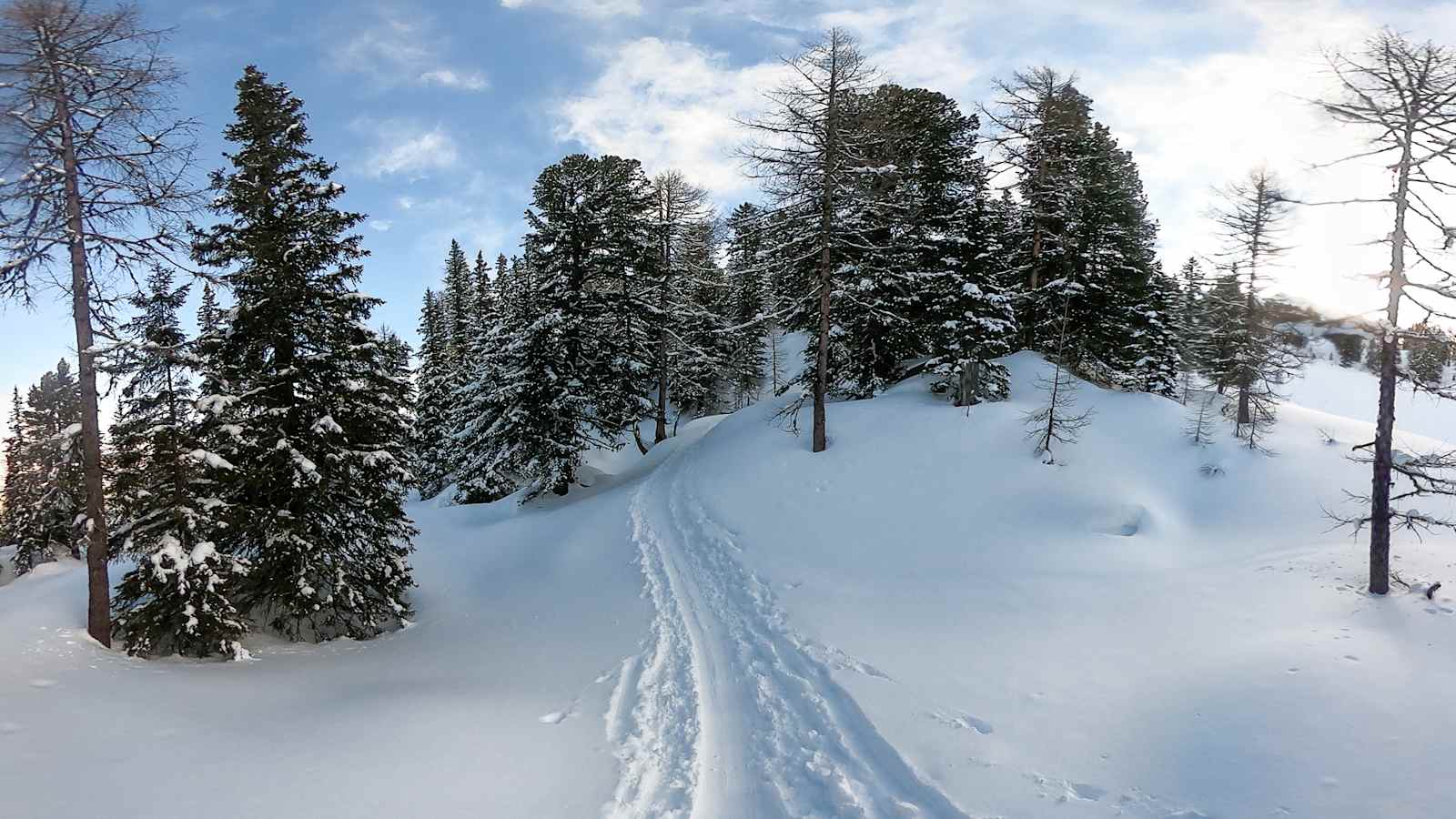 Skitour auf den Graukogel